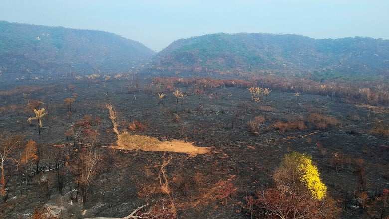 70 personas usaron Whatsapp para Incendiar repetinamente la Amazonía