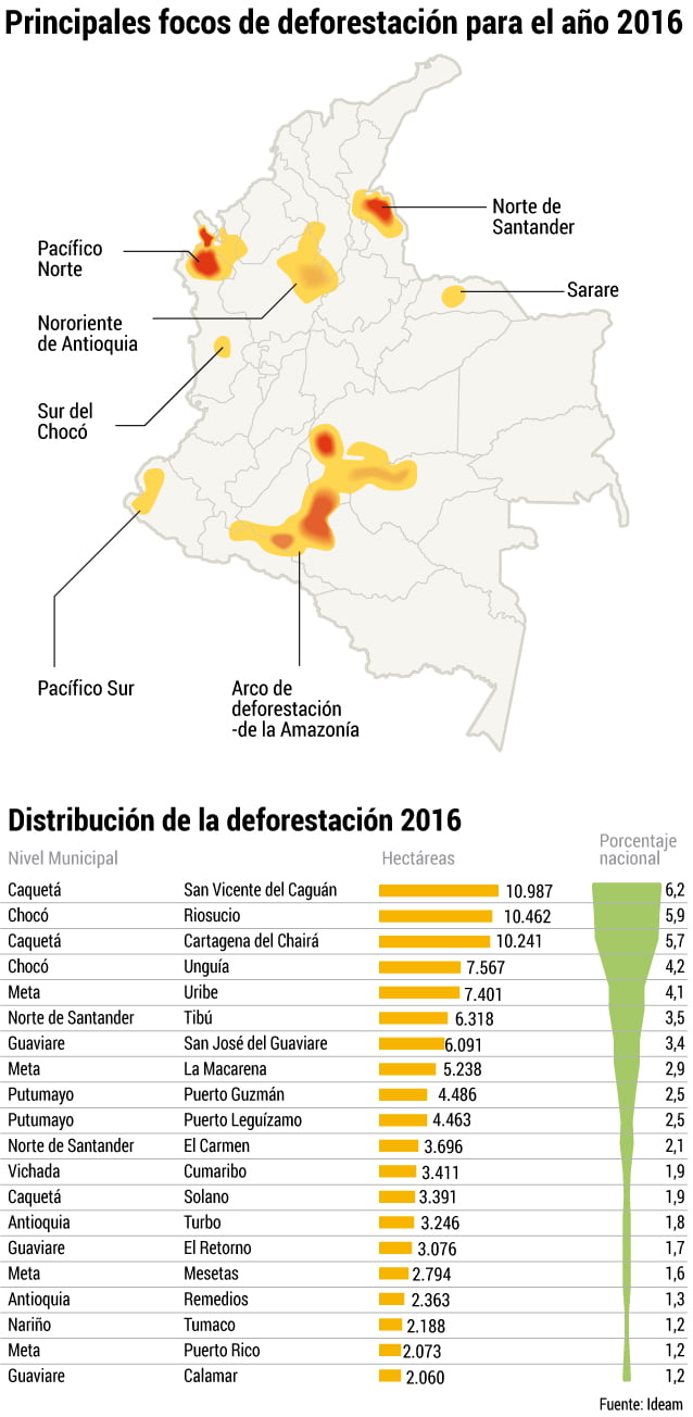 Colombia disminuye su Bosque Natural (50%) entre 1 y 2% anual, quedan 50 años...