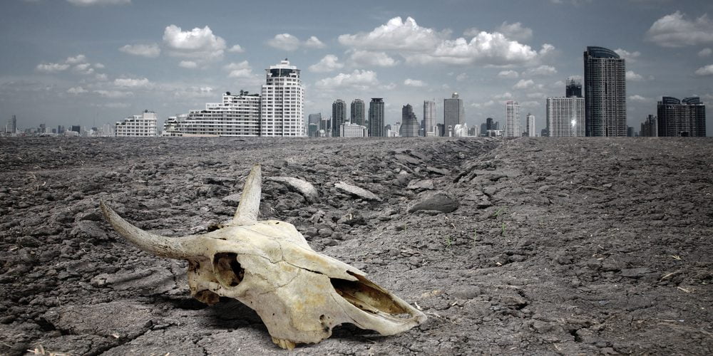 Científicos advierten que estamos en una “era irreversible de extinción masiva”