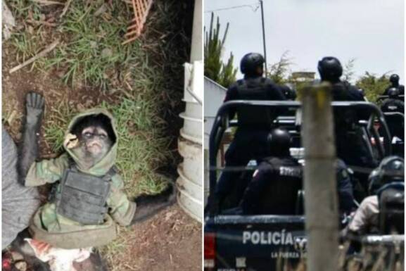 Tráfico Ilegal: Muere mono con chaleco antibalas en enfrentamiento entre policías y narcos en México