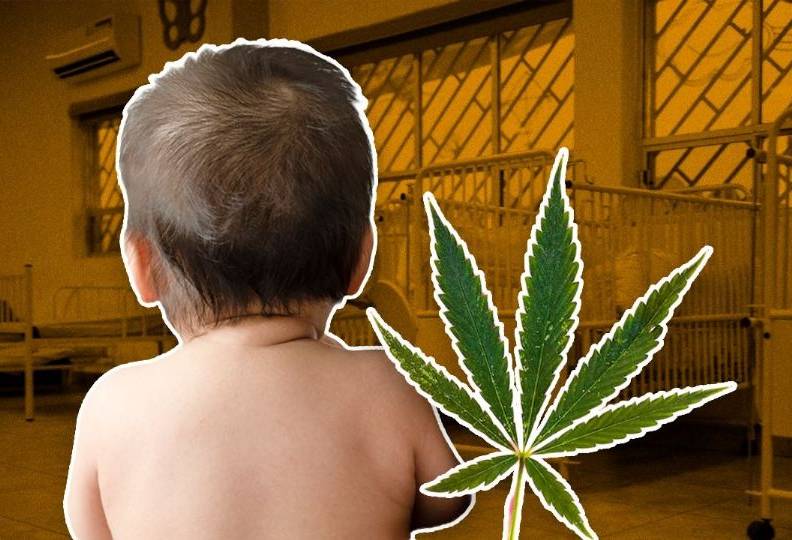 Consumir marihuana durante el embarazo trae riesgos para los bebés  