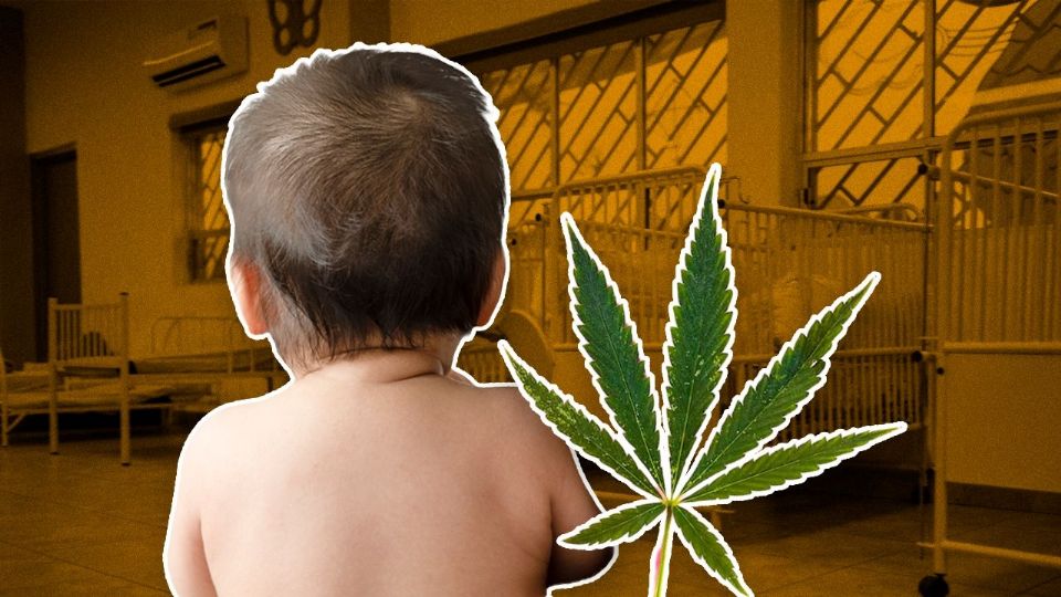 Consumir marihuana durante el embarazo trae riesgos para los bebés  