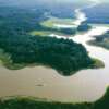 Deforestación en el Amazonas causará reducción de lluvias