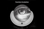 function-incubation