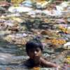 Un estado del Himalaya declara la guerra a las bolsas de plástico