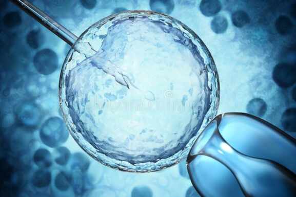 Nacen ratones con dos papás biológicos: crear óvulos a partir de células masculinas será posible en humanos