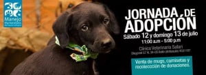 Este Sábado y Domingo Jornada de Adopción de perros y gatos (sector Puerta del Norte - Bello)