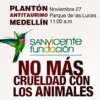 Este Jueves Plantón antitaurino: Fundación San Vicente ¡no más toros en Medellín!