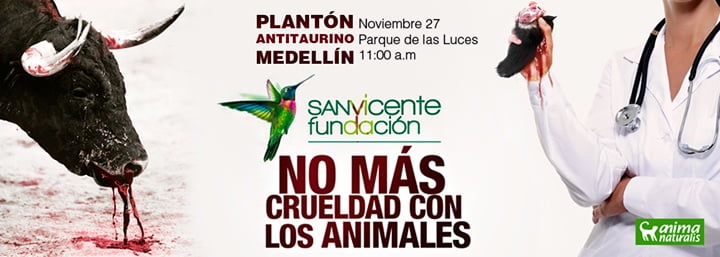 Este Jueves Plantón antitaurino: Fundación San Vicente ¡no más toros en Medellín!