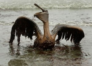 Acaba de estallar otra plataforma petrolera en Golfo de México