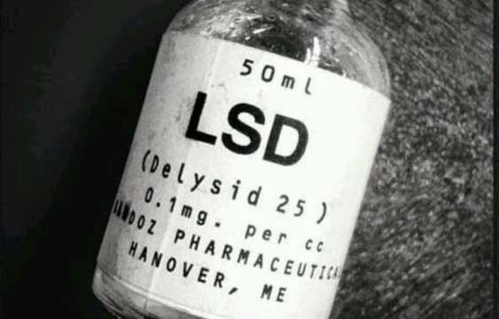 LSD x EcheleCabeza