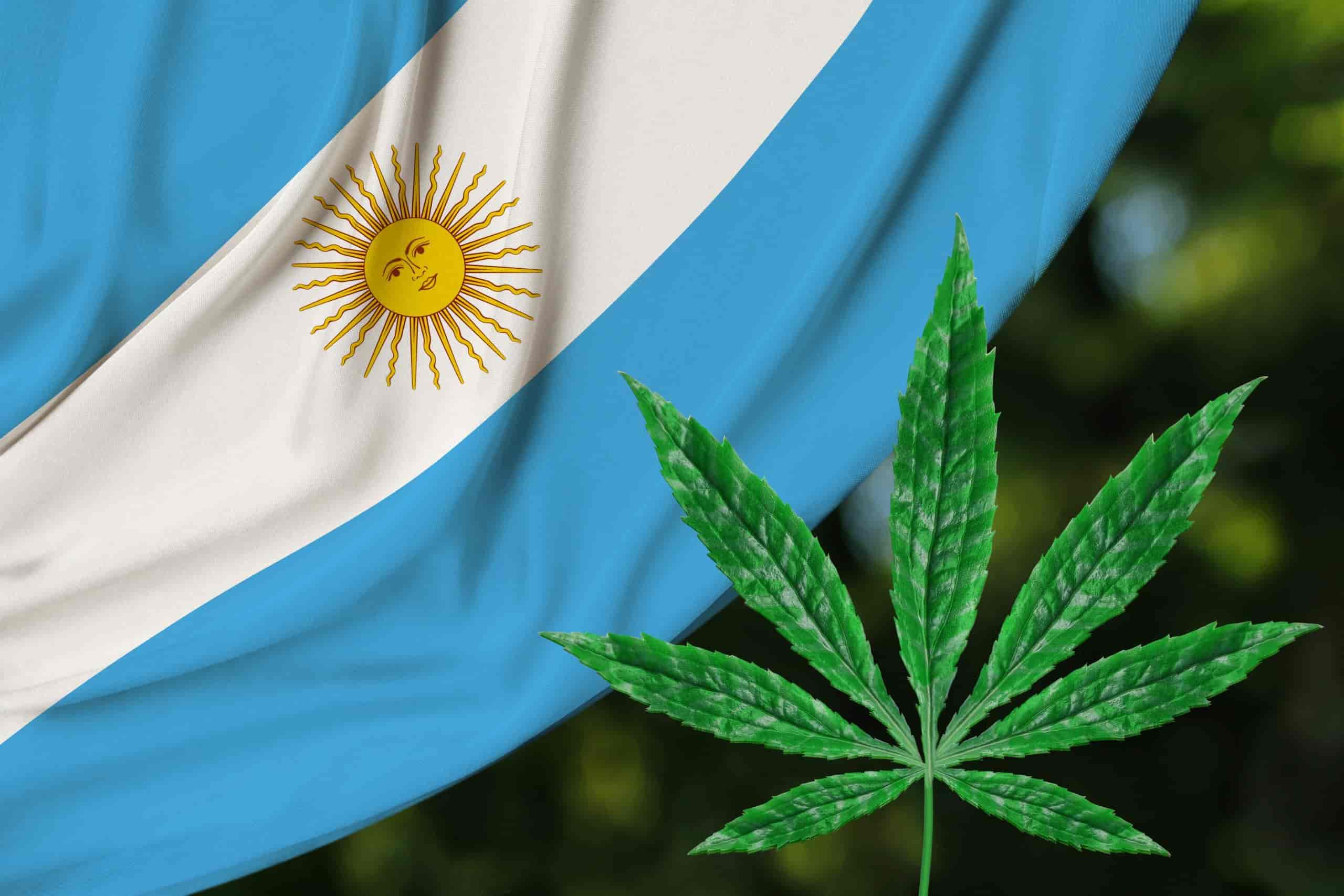 Argentina legaliza autocultivos de cannabis para uso medicinal