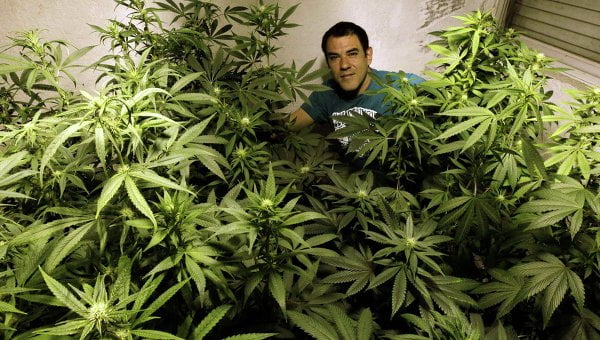 Uruguay recibe solicitudes internacionales de compra de marihuana