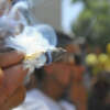 Fumar marihuana ocasionalmente no daña los pulmones