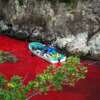 A punto de comenzar la matanza de 20.000 delfines en Taiji