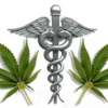 Las autoridades del estado de Nueva York legalizarán el uso médico de la marihuana