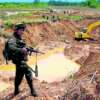 10 especies amenazadas por la minería ilegal en Colombia