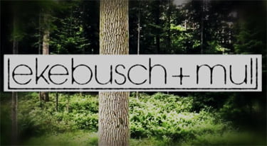 Video: Cari Lekebusch & Joel Mull - Symbiosis
