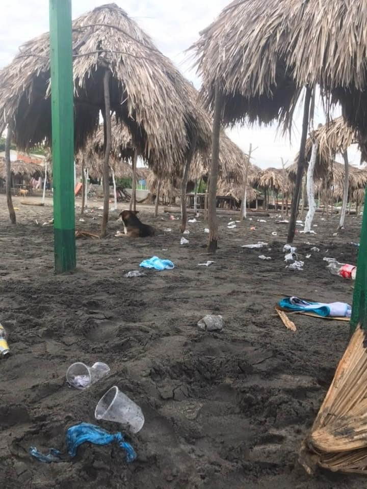 Volvimos a las playas sólo para dejar basura