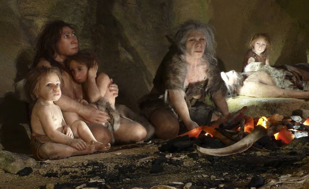 Los Neandertales NO comían solo carne como se cree