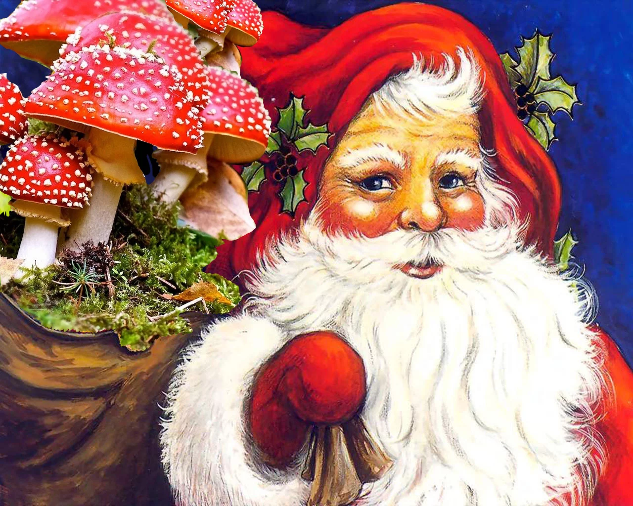 Es en realidad Papá Noel una Amanita Muscaria ? ( Hongo Alucinógeno? )