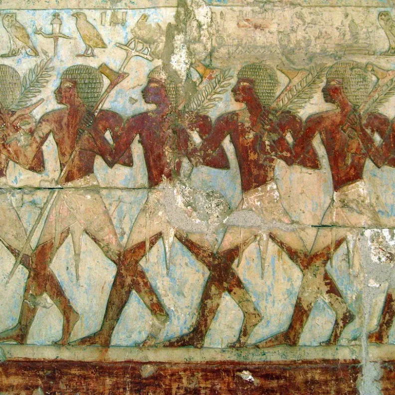 ¿Cómo conseguían los antiguos egipcios la nicotina y la cocaína?