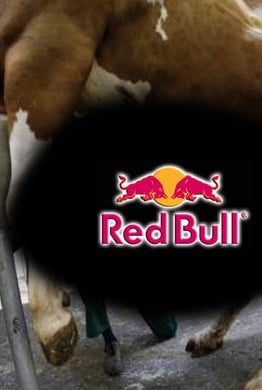red bull taurine halal