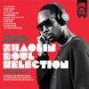 RZA - Shaolin Soul Selection: Volume 1