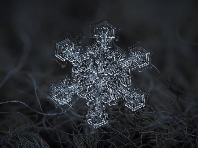 Spectacular Snowflakes From a Close-Up View