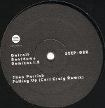 theoparrisfallingup10inch