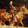 Así vivía Tupac Amarú, el caballo de Gonzalo Rodríguez Gacha (El Mexicano)