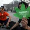 Uruguay está a un día de legalizar la marihuana