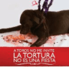 V0TA: SI, estas en contra de las corridas Toros, llamando 4443741 en el concejo de Medellin.