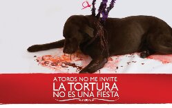 V0TA: SI, estas en contra de las corridas Toros, llamando 4443741 en el concejo de Medellin.